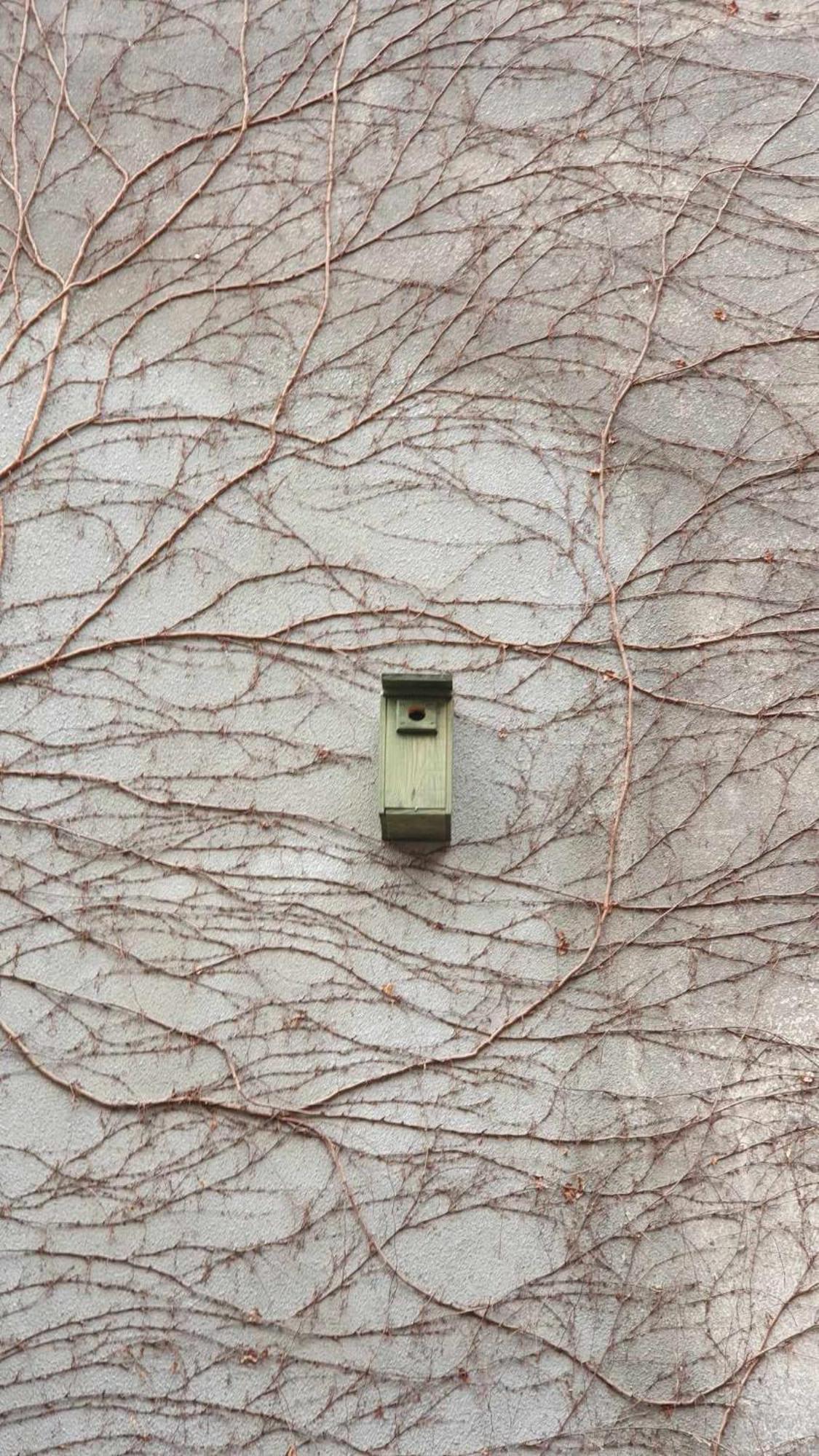 Poezja Apartman Lublin Kültér fotó