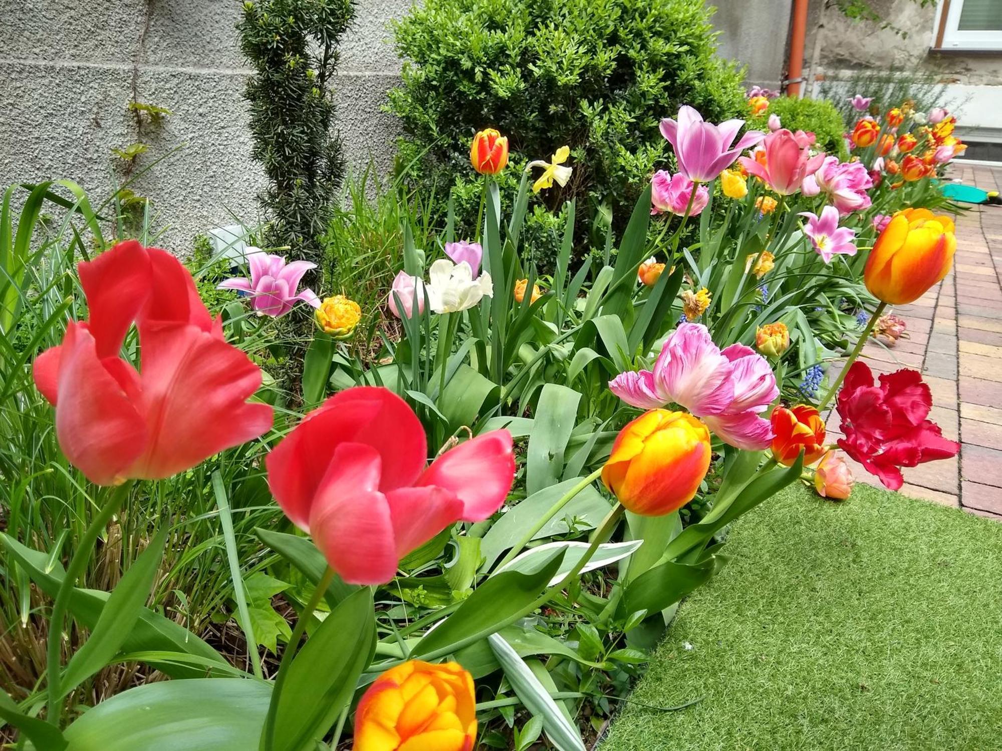 Poezja Apartman Lublin Kültér fotó
